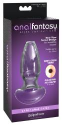 ANAL TOY